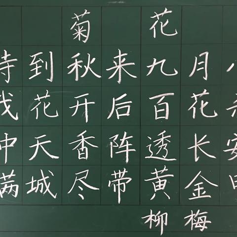 柳河县长青小学硬笔书法成果展（三）