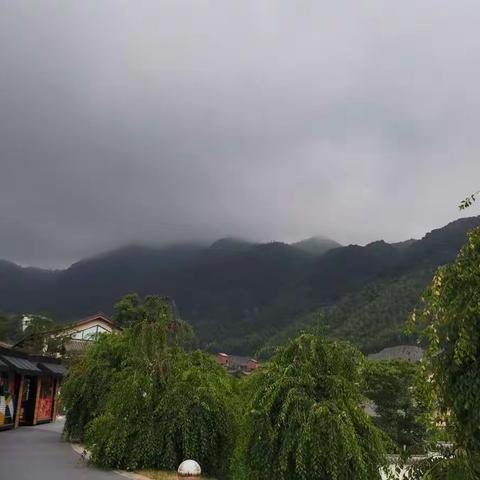 在慢慢变老的道路上，我尝尽了生活的酸甜苦辣，更体会到我父母一辈子的坚辛和无奈啊！