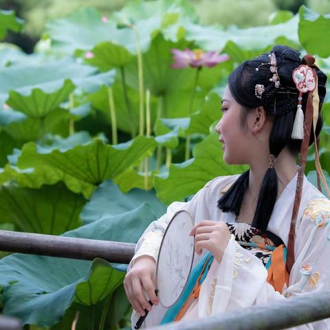 行摄部落于曲院风荷荷香少女