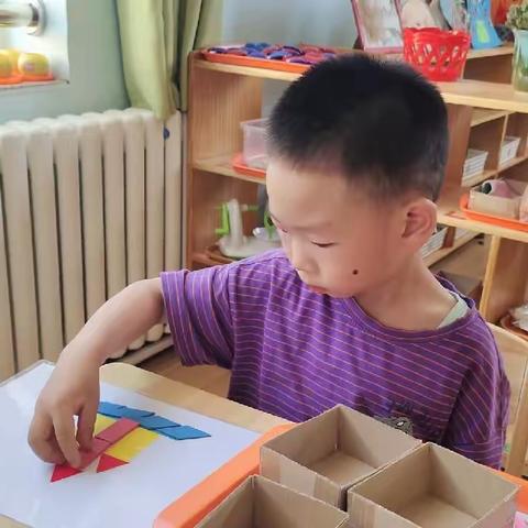 我的幼儿园生活