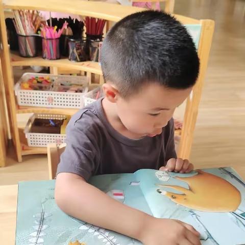 我的幼儿园生活