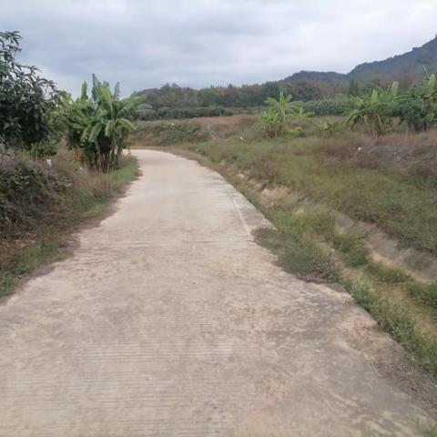 巡查水沟，排除隐患