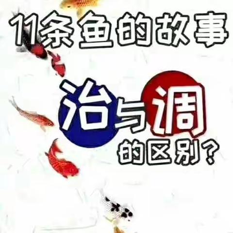 谁都养了11条鱼 养鱼技巧你需要知道