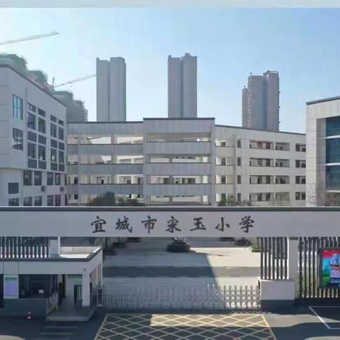 342“丰盈思想 丰厚底蕴”教师成长系列之“每日悦读”342