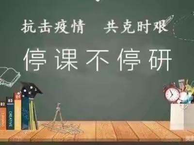 云端相聚助成长，线上教研促“双减”——大吴小学与区教研员线上教学网络共研