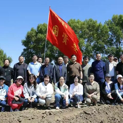 “乡村振兴，党建先行”——市国资委与伯大街村开展支部共建志愿服务活动