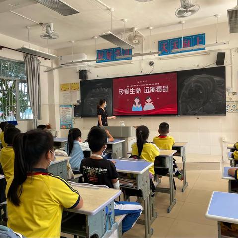 崖州区临高小学禁毒知识小课堂