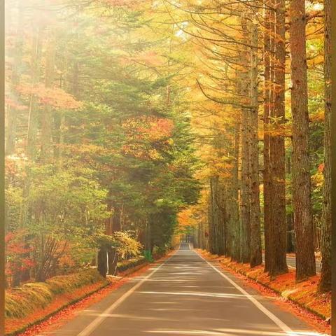 十一师第一中学初中理科新教师交流学习心得