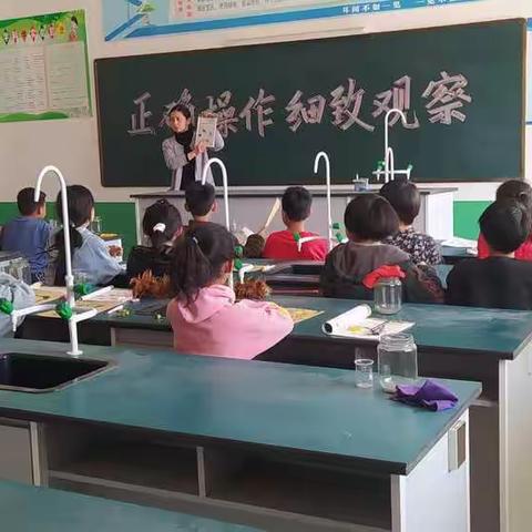 西丁庄小学三年级科学实验课