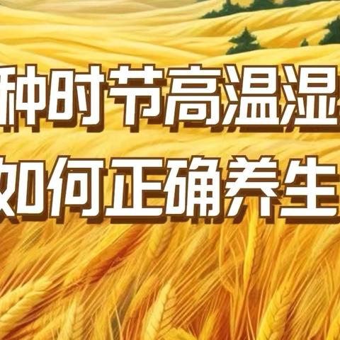 节气养生｜芒种