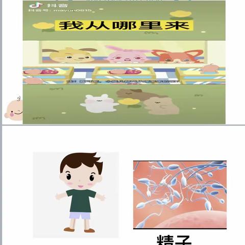 小一班家长进课堂——语言活动《宝宝怎么来的》