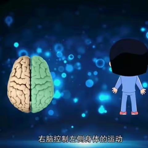 【二实小·网课篇】五年级科学课堂掠影