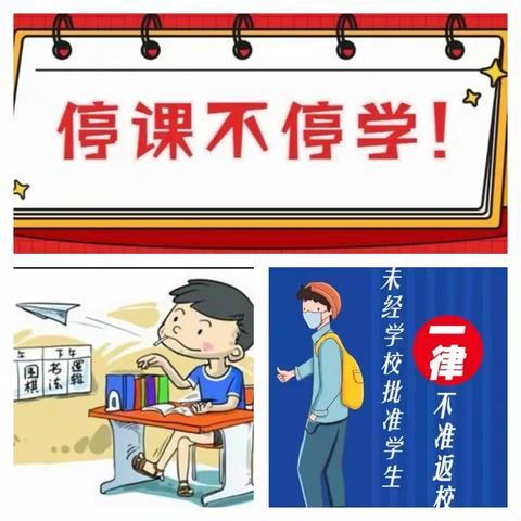 洛中185班“防疫"时期第一周居家网上自主学习剪影