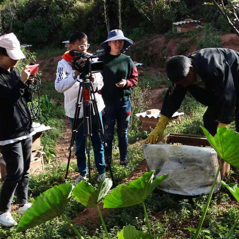 一平浪镇“花引擎”变“印钞机”