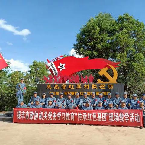 禄丰市政协到一平浪镇开展主题党日活动