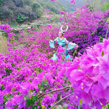 【康养之镇】浪漫“蝶恋花海”等您来，约吗！
