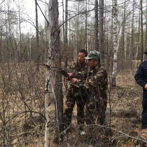 虫害调查第一线