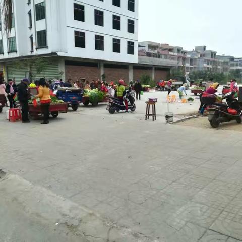 一中队三组5日上午工作日志