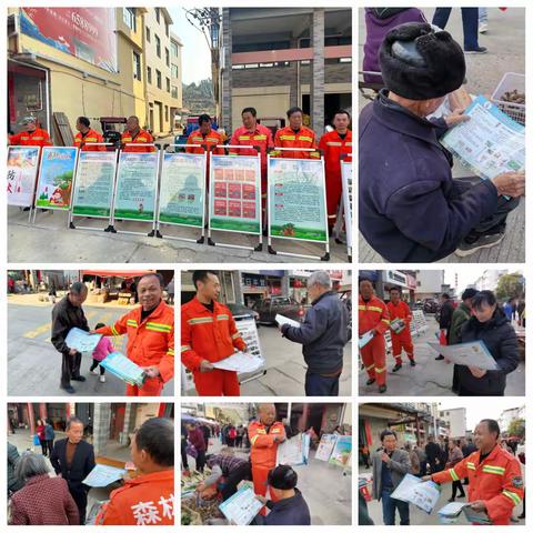 河龙乡野生动植物保护和森林防火安全宣传