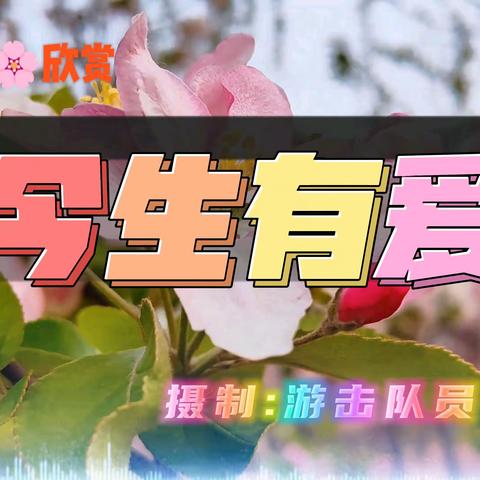 爱花拍花 与花相伴