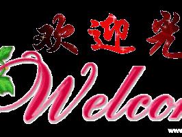 网上收集的鸡汤书法作品