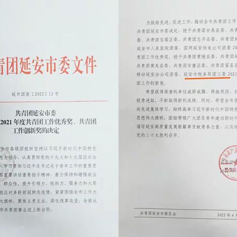 【喜报】延安市税务局团工委荣获“共青团工作创新奖”