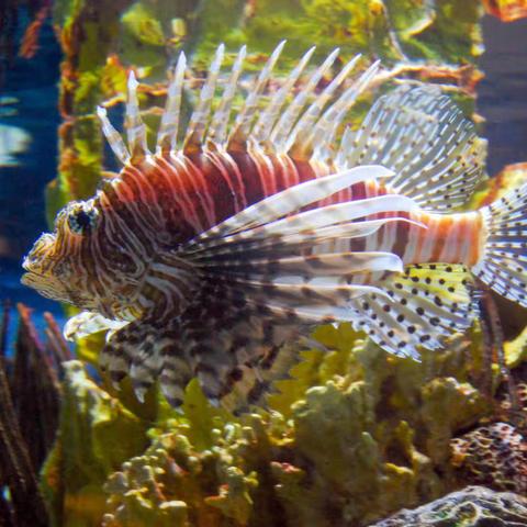 巴尔的摩美国国家水族馆
