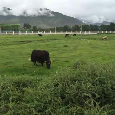 拉萨至林芝