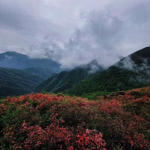 游广寒寨