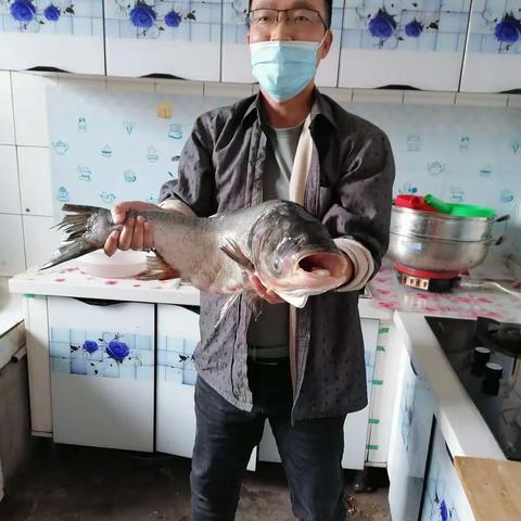 牛气冲天连年有鱼