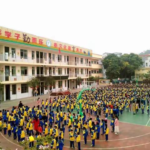 教坛对外开，四方纳贤才----百色市城西小学2020年秋招聘编外教师启事