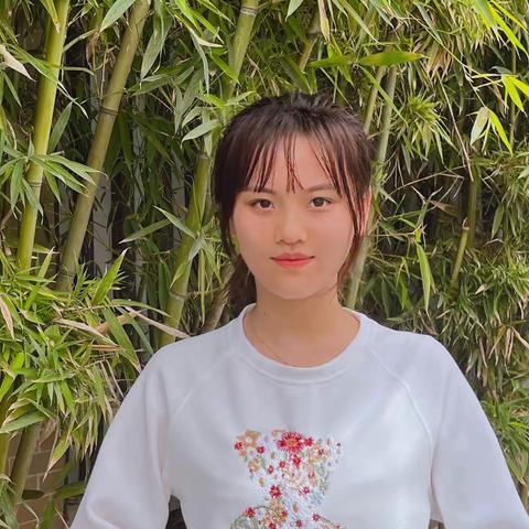 🌟文星三班教师队伍介绍