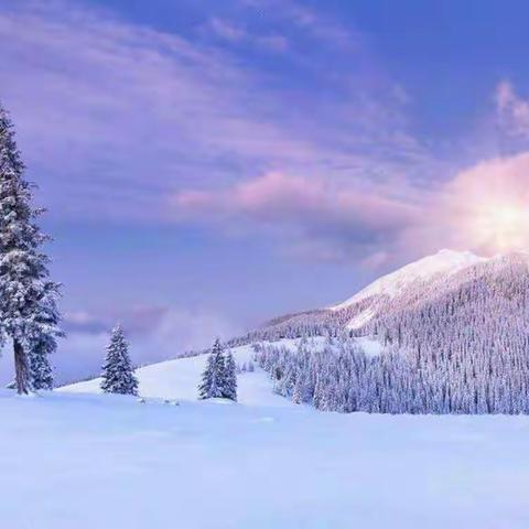 线上教研送温暖 踏雪留痕永向前――林甸四中参与东北师大附中教研活动培训纪实