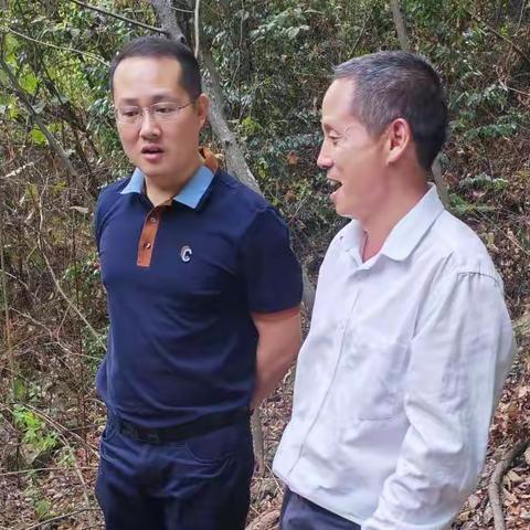 鄱阳县凰岗镇周密部署林业各项工作