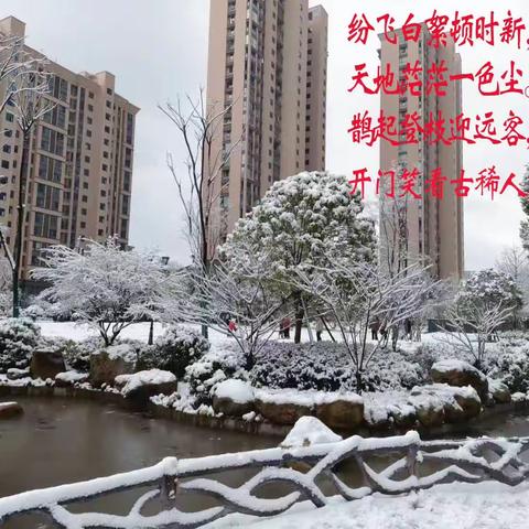 鹧鸪天  雪