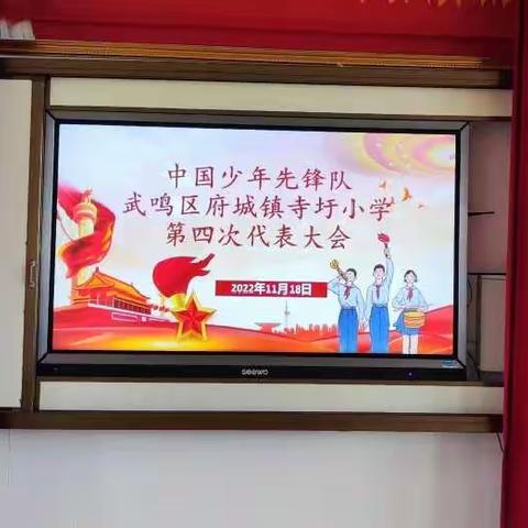 奋进新时代，争做好少年——府城镇寺圩小学第四届少先队代表大会