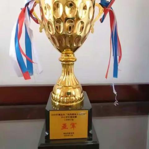 乡村健儿显身手  勇闯市赛获佳绩