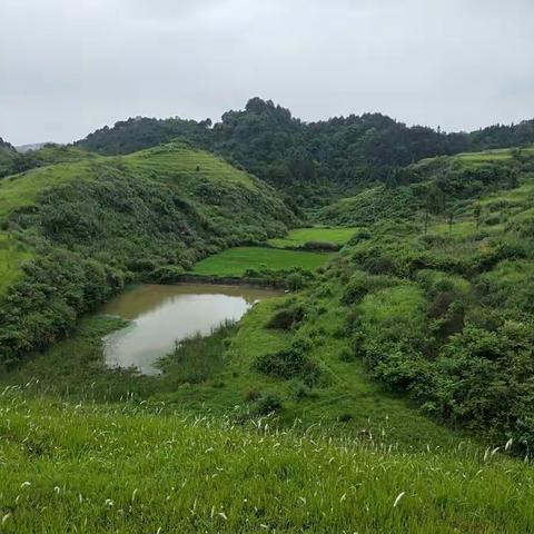 山中路，水中桥