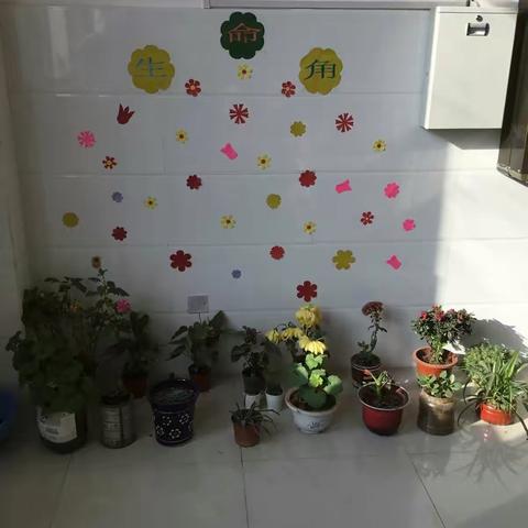 余关镇中心小学第十八周值周