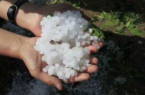 一场冰雹雨，激发了孩子的兴趣，也引发了奸计抓住孩子快乐的小尾巴，来，老老实实把你激动的心情写下来吧！