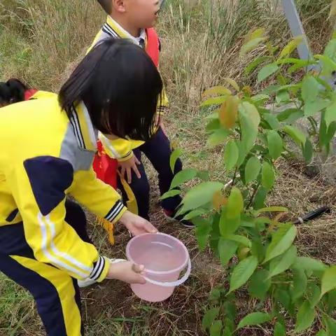 我们都是绿色小卫士                           ————二年6班 向阳中队