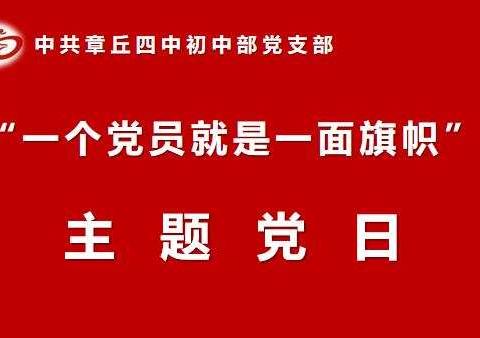 章丘四中初中部党支部“一个党员就是一面旗帜”主题党日