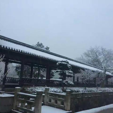 2018年的第二场雪太美了⛄⛄⛄