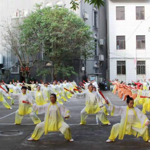 临高县举行新春太极拳集中演练活动