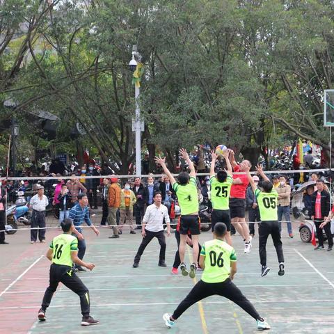 临高县举行新春气排球赛