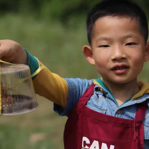 【CAN儿童与自然】赵翊辰成长营一阶段成长记录