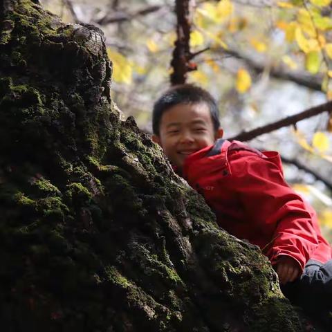 【CAN儿童与自然】张子航成长记录
