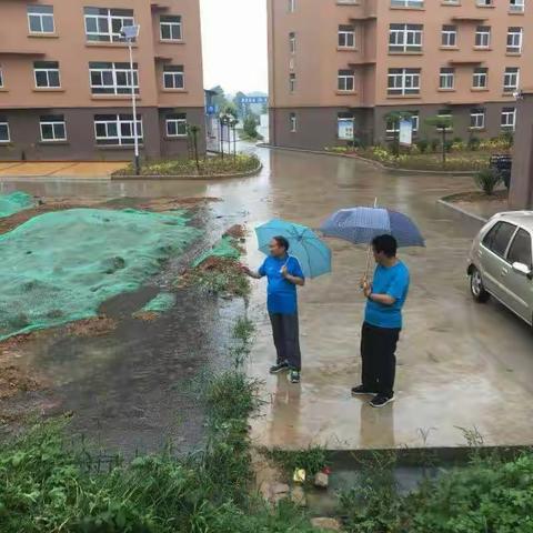 端午降大雨   心系帮扶村