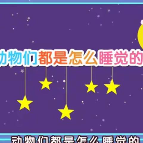 新幼家园空中课堂11月第十五期