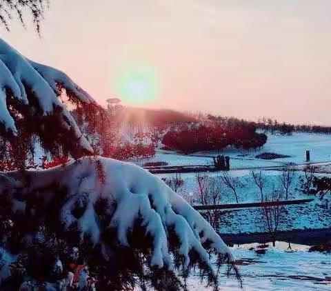 雪景